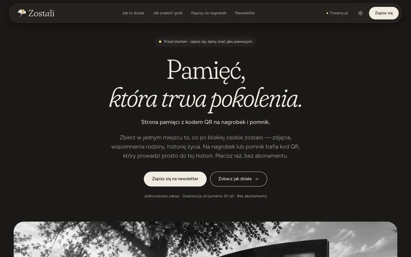 Zrzut ekranu strony Zostali.pl